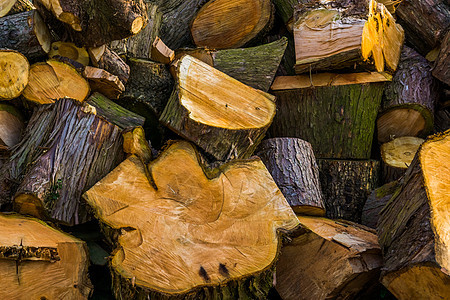 切割木原木的图案天然木背景堆木结构的 woo图片