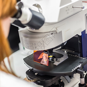 在高频荧光显微镜上进行热能护理专业微量检查保健女士进步样本技术测试细胞实验室病理医生图片
