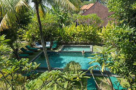 年轻女性在户外游泳池中放松 在巴厘的乌布德(Ubud)周围充满了热带绿树图片