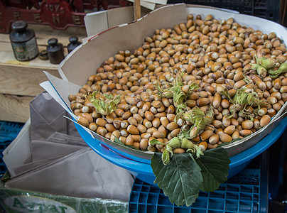 新鲜未壳的胡桃子种子小吃饮食食物乡村坚果榛子水果营养图片