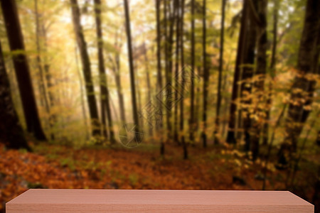 秋秋季森林除地背景 木架叶子架子风景季节家具树叶展示书架木板桌子图片