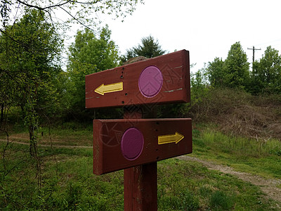 带有紫点 箭头 树木和小道或道路的木柴符号图片