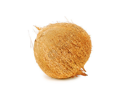 干椰子球减肥食物沉淀物排毒热带坚果皮肤薄片棕榈水果图片