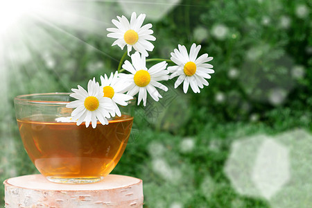 一杯透明的杯子里含焦米茶 在太阳中甘菊花叶的背景之下 在树桩上花草玻璃雏菊饮料香气药品治疗绿茶植物芳香图片