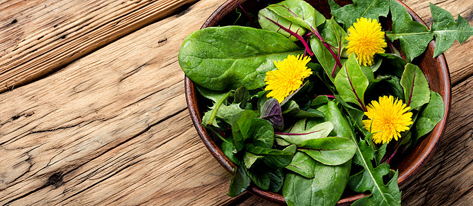 新鲜绿色沙拉味道蔬菜草本植物菠菜食物植物群桌子香草饮食盘子图片