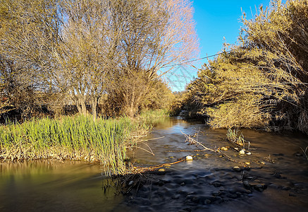 河水在寒冷的清晨蒸发荒野溪流场景石头公园季节环境岩石木头树木图片