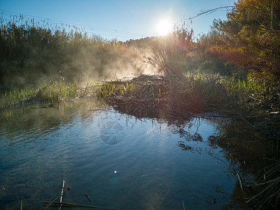 河水在寒冷的清晨蒸发树木荒野季节蓝色溪流森林石头环境公园旅行图片