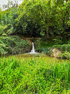 Palancia河多植被的景象流动森林旅行树木环境叶子河流溪流绿色自然图片