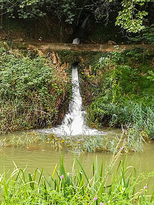 Palancia河多植被的景象河流旅行植物叶子瀑布绿色自然流动森林树木图片