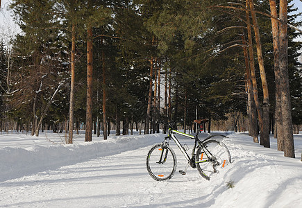自行车站在冬季公园的雪上图片