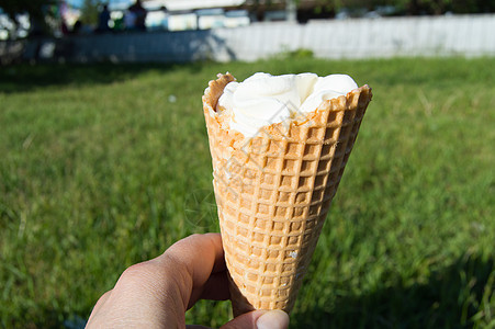 在模糊的草本背景下 冰淇淋在华夫饼锥中 手握冰淇淋图片