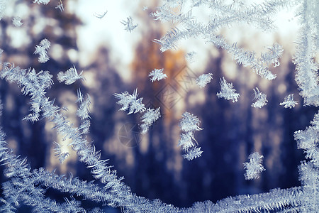 日落时森林外冬窗上的霜雪花图案图片