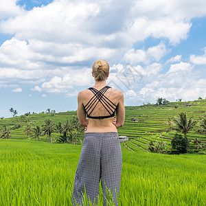 在巴厘美丽的绿稻田享受纯净自然的轻松休闲运动妇女 6月25日生活瑜伽假期天空喜悦环境游客女孩自由冥想图片