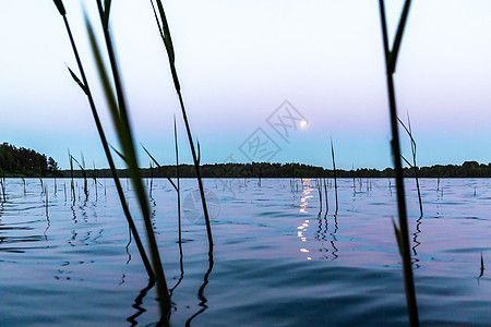 月亮反射在湖面上 美丽的夜景 背景和风景气氛世界黑暗月球海浪地平线圆圈天文学镜子卫星图片