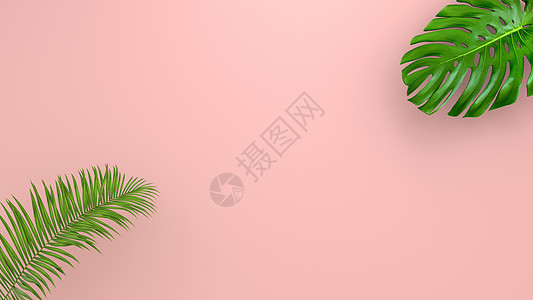 珊瑚生活背景上逼真的棕榈叶用于化妆品广告或时装插画 热带框架异国情调的香蕉棕榈 销售横幅设计  3D仁德植物群假期植物学海报插图图片