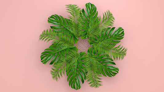 珊瑚生活背景上逼真的棕榈叶用于化妆品广告或时装插画 热带框架异国情调的香蕉棕榈 销售横幅设计  3D仁德插图植物学丛林艺术植物植图片