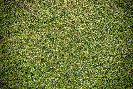 平滑绿色绿草草地游戏水平场地高尔夫球足球运动娱乐法庭草皮图片