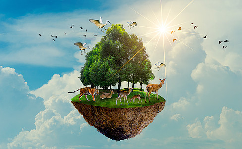 森林树野生动物老虎鹿鸟岛漂浮在天空世界环境日世界保护日地球大图片