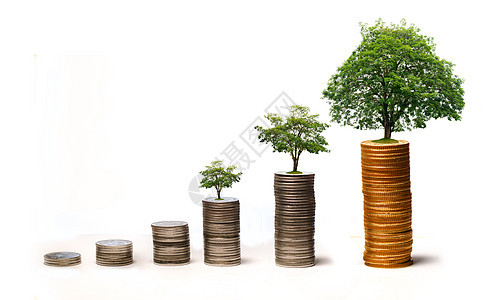 上树硬币展示了商业增长的理念 而货币增长则以储蓄资金为目的银行业插图现金利润基金收益帐户小猪植物投资图片