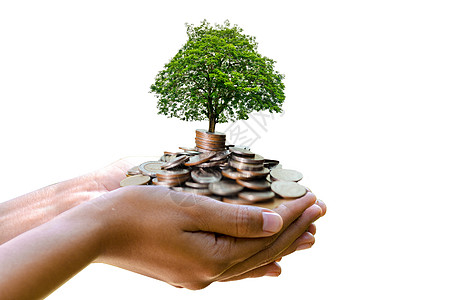 树长在一堆上 为未来存钱 投资理念和业务增长图片