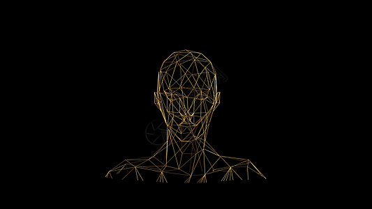 黑色背景上的金色线条 抽象的人脸头 金色多边形豪华网络闪耀闪光设计 3D 渲染图男人宇宙网格女性金子男性派对卡片金光奢华图片