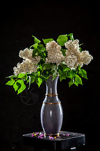 黑色背景的花瓶里有花粉杯子桌子木头玻璃植物季节礼物花朵植物群风格图片