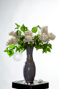 白色背景的花瓶里有花丽花朵礼物艺术叶子黏土季节玻璃花束桌子杯子图片