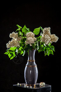 黑色背景的花瓶里有花粉花朵植物群季节黏土玻璃杯子叶子植物风格艺术图片