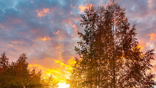 日落时 秋天树顶对着阴云的天空光束环境薄雾魔法季节公园农村太阳森林叶子图片