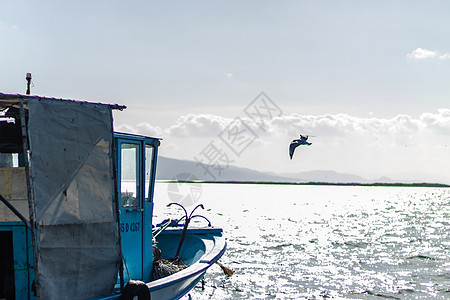 与一些木船一起拍摄海景的好景象蓝色场景太阳天空海岸线旅游晴天海洋假期支撑图片