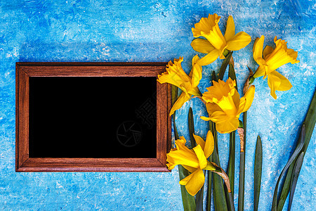 蓝光背景的花朵和粉笔板 最顶端风景木板教育墙纸季节水仙木头控制板自恋植物水仙花图片