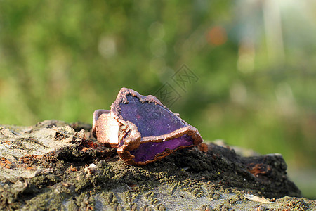 手制造铜环 用紫罗兰半宝石艺术戒指衣服紫色配件图片