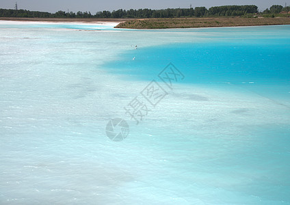 蓝湖环绕着无花森林 西伯利亚 俄罗斯地貌松树荒野海岸太阳全景历史池塘场景热带支撑图片