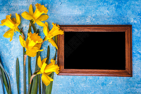 蓝光背景的花朵和粉笔板 最顶端风景假期教育水仙花水仙框架植物木头蓝色季节木板图片