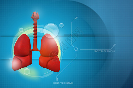 人类肺胸部科学器官生物学身体生理支气管医疗保健插图图片