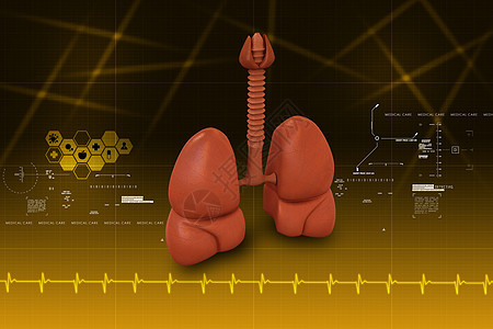 人类肺解剖学插图药品癌症卡通片疾病气管器官医疗生理图片