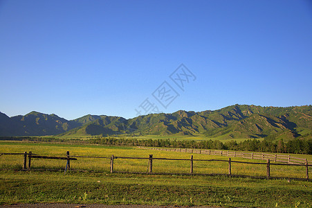 在高山脚下一个肥沃的山谷里 密布着草原 阿尔泰 西伯利亚 俄罗斯 风景图片