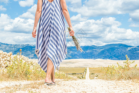 夏季穿暑期服装的妇女 在穿过干岩地中海克罗地亚人海岸的Pag岛游荡时露出户外时 拿着花束熏衣花详细记录享受香水紫色快乐化妆品农村图片