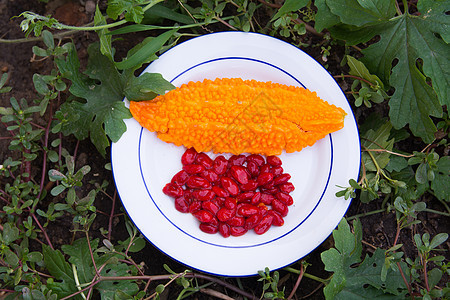 摩莫里迪卡夏兰提亚热带力量水果健康石榴植物南瓜狭缝疾病营养图片