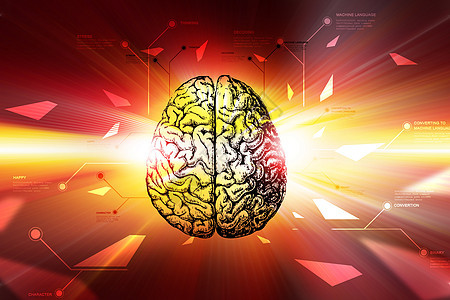 彩色背景的数字脑神经信息外科下丘脑扫描沉思创造力x光器官图表图片