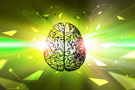 彩色背景的数字脑生物学药品智力下丘脑沉思器官技术思维蓝图扫描图片