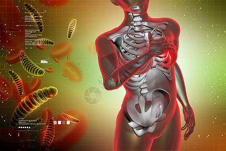 胸痛 医疗概念男性身体男人插图疼痛胸部免疫学缺陷解剖学感染图片