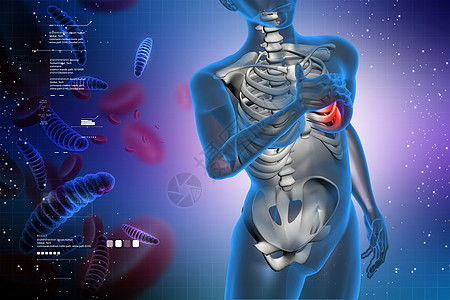 胸痛 医疗概念生物学男人胸部插图感染防御女士身体免疫科学图片
