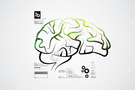 人脑结构地区神经中风草图大脑图表智力头脑天才绳索图片