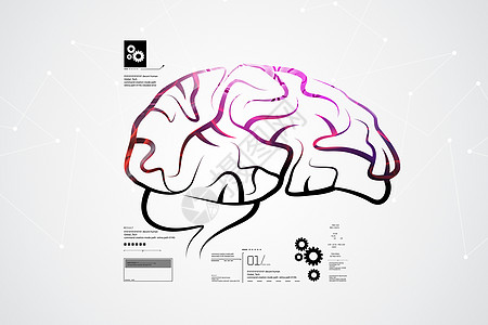 人脑结构思考神经心灵感应图表身体大脑科学草图生物皮层图片