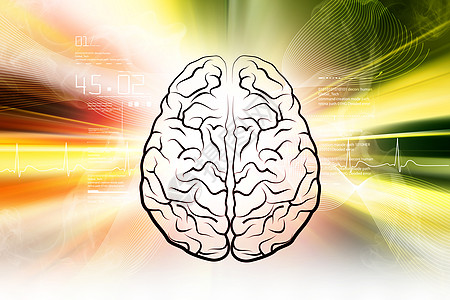 人脑结构神经科学绘画思考药品头脑绳索身体智力大脑图片