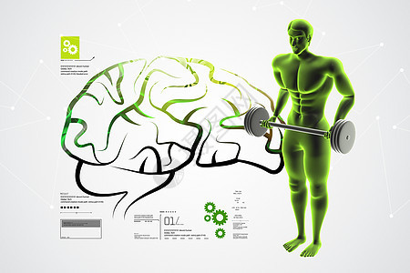 男性与男性的大脑医疗小脑科学头脑渲染智慧智力白色解剖学生物学图片