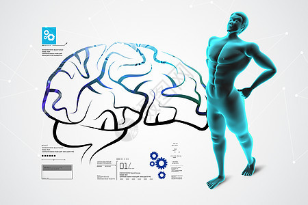 男性与男性的大脑插图白色技术智力器官小脑智慧医疗记忆生物学图片