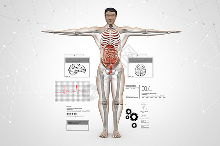 人体解剖生物学胸部保健药品插图男性神经姿势手指身体图片