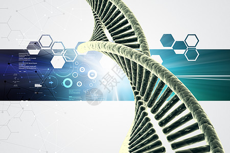 DNA的颜色背景细胞生物学阴影测试遗传学基因生物螺旋染色体化学图片